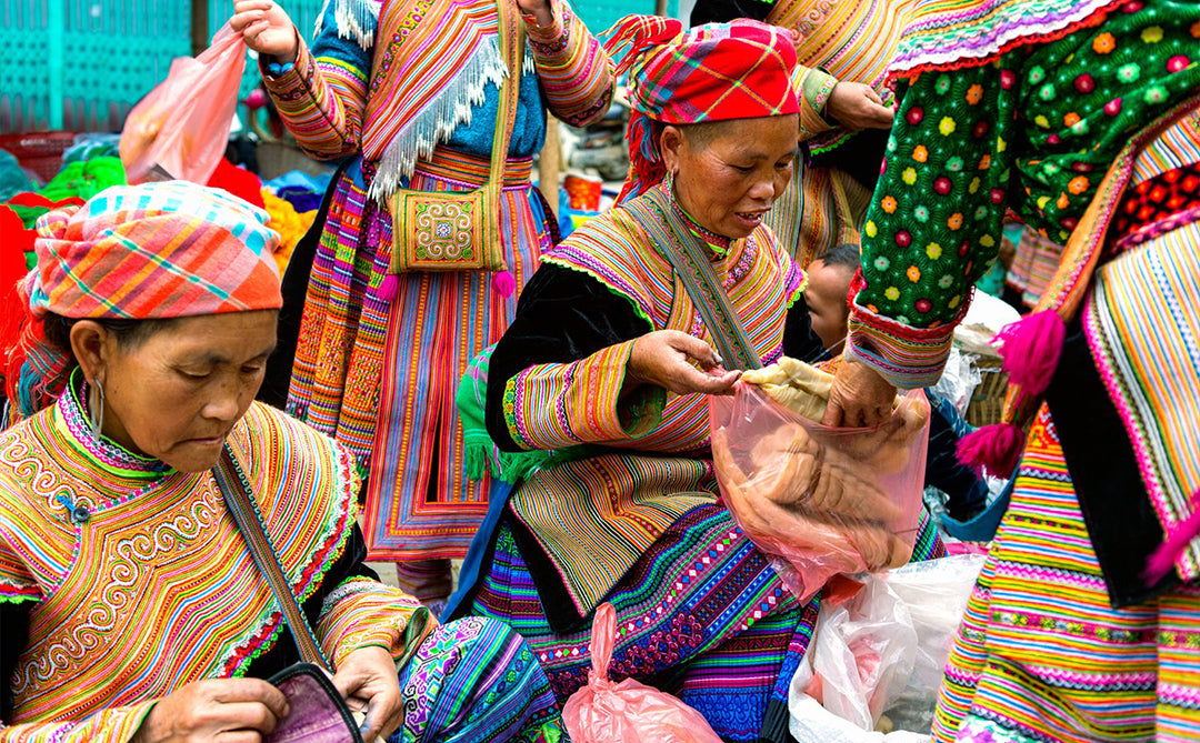 All about our Sapa Collection